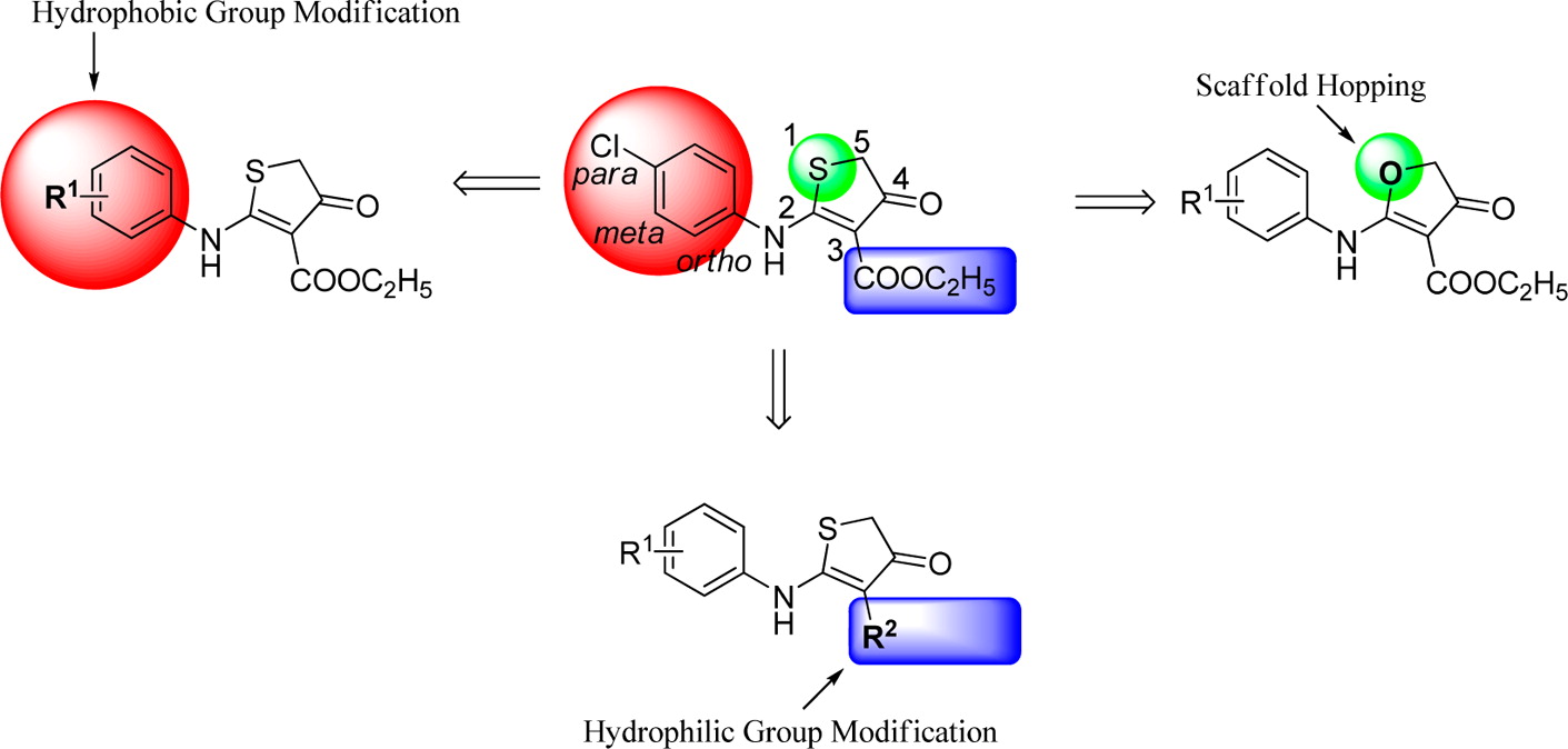 Novel Selective Inhibitors of PfDHODH: Discovery and Optimization of Dihydrothiophenone Derivatives